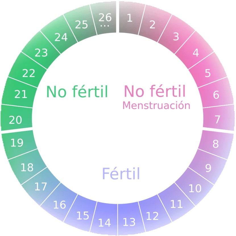 calendario-de-ciclo-menstrual